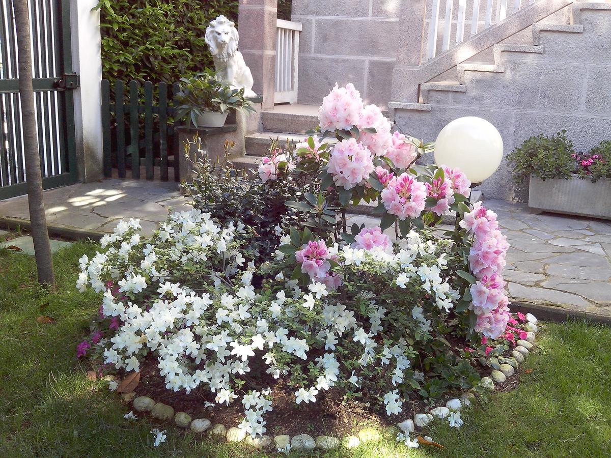 B&B Le Magnolie Gallarate Exterior photo